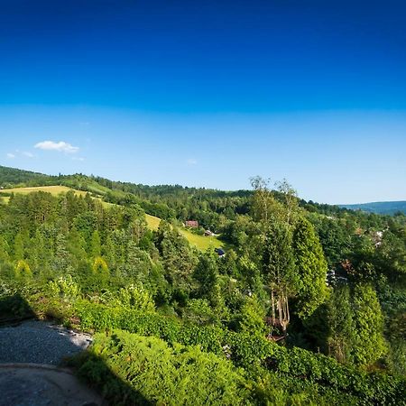 Villa Brody Wisla Ngoại thất bức ảnh